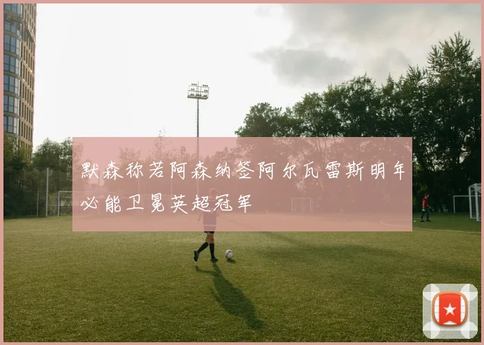默森称若阿森纳签阿尔瓦雷斯明年必能卫冕英超冠军