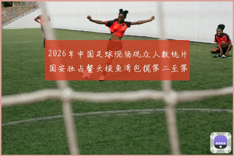 2026年中国足球现场观众人数统计国安独占鳌头梭鱼湾包揽第二至第七位