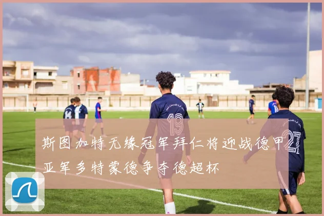 斯图加特无缘冠军拜仁将迎战德甲亚军多特蒙德争夺德超杯