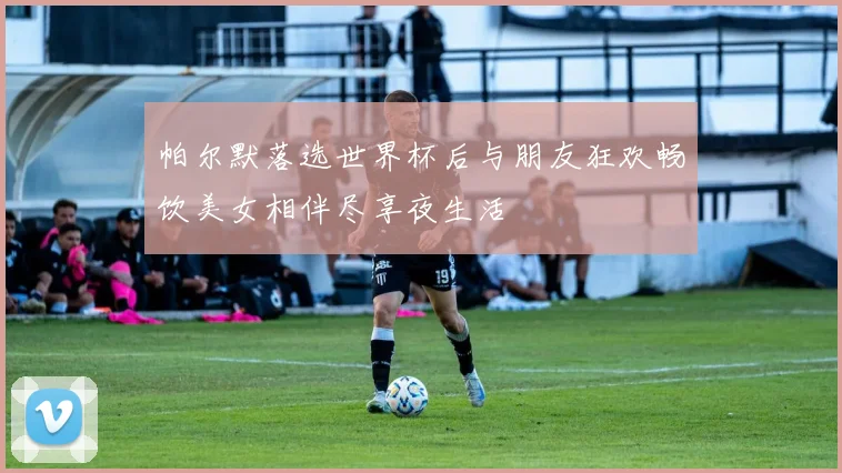 帕尔默落选世界杯后与朋友狂欢畅饮美女相伴尽享夜生活