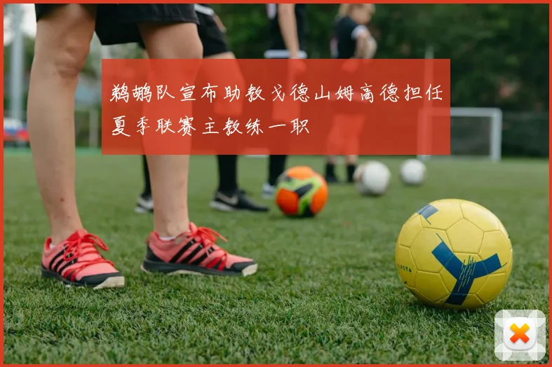 鹈鹕队宣布助教戈德山姆高德担任夏季联赛主教练一职
